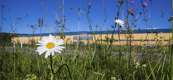 decorative image: environment 