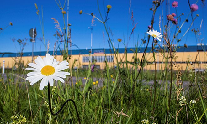 decorative image: environment