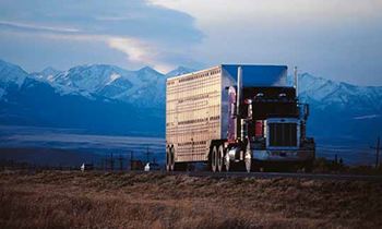 Informative image: Powertrain