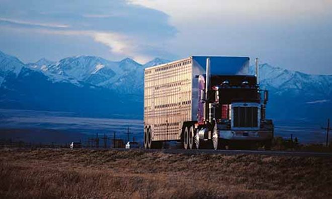 Informative image: Powertrain