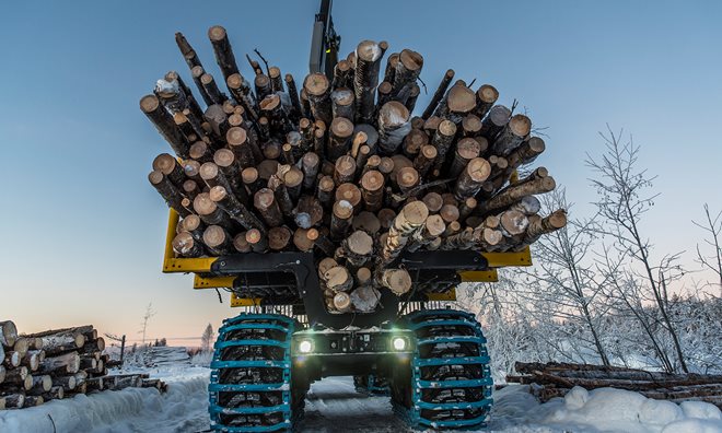 Olofsfors sustainable forestry