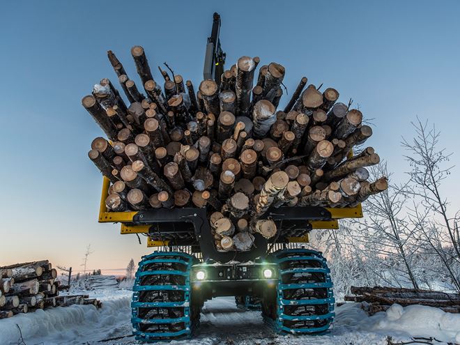 Olofsfors sustainable forestry